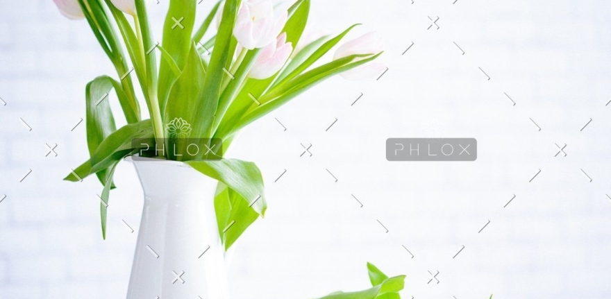 demo attachment 783 brooke lark 210780@2x