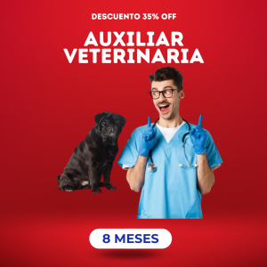Auxiliar de Veterinario